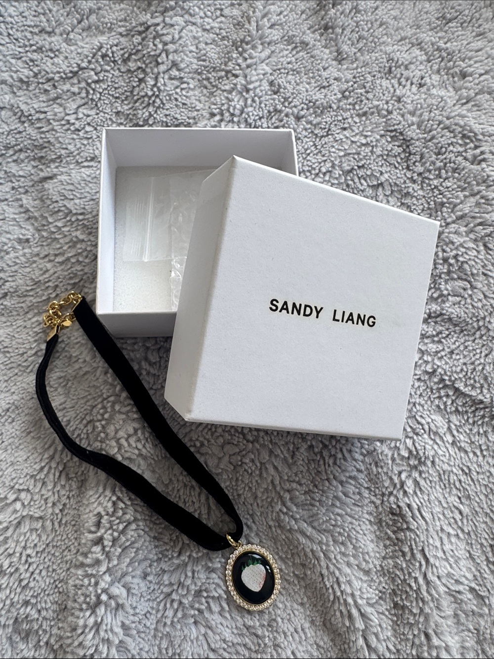 Sandy Liang Fragola Necklace - Black Velvet Choker with Strawberry Medallion